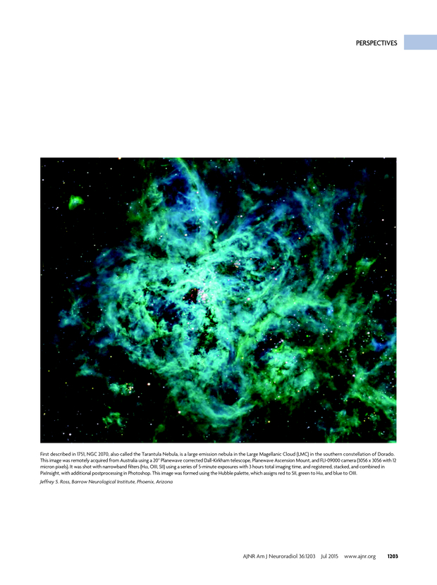 PDF extract preview