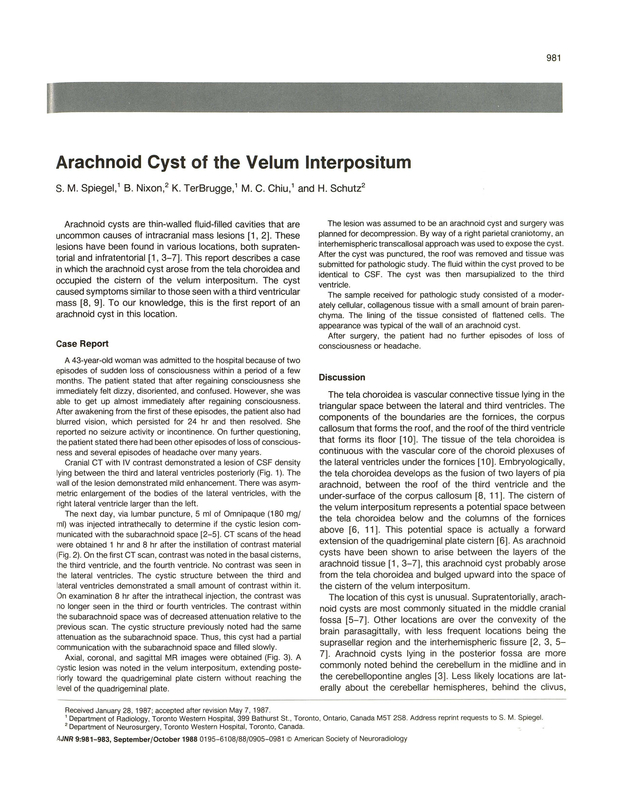 PDF extract preview