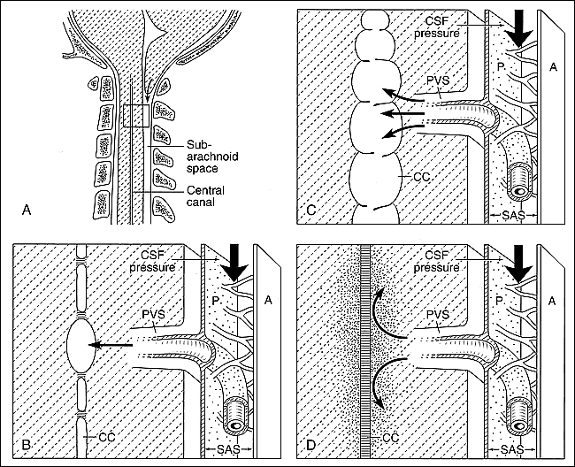fig 6.