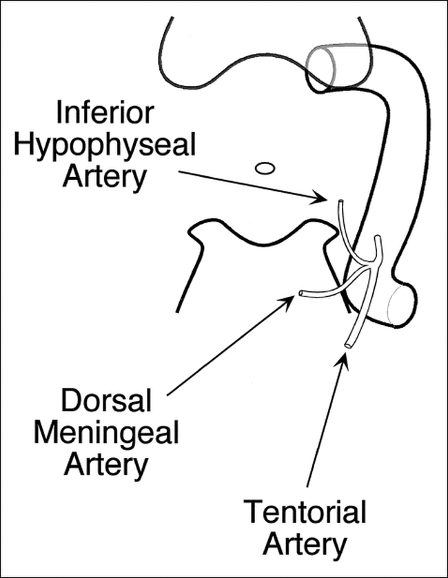 fig 2.