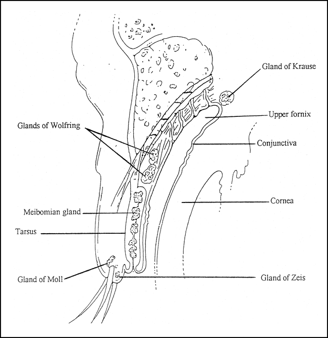 fig 3.