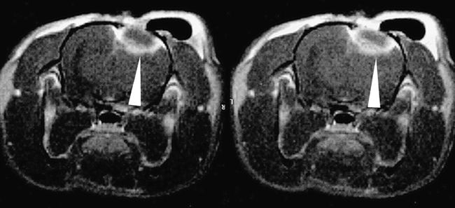 fig 5.