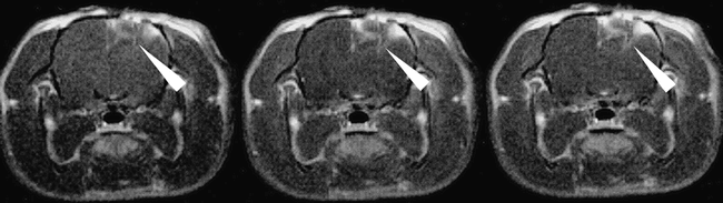 fig 6.