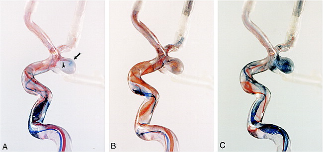 fig 1.