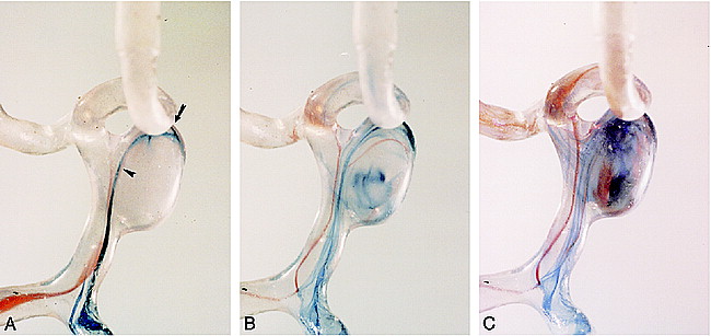 fig 2.