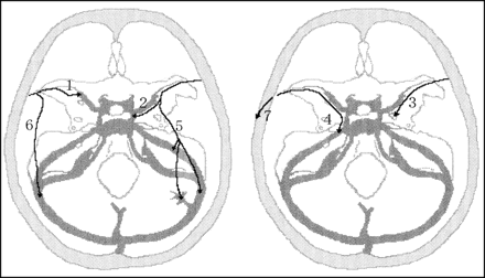 fig 1.