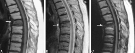 fig 1.