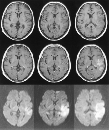 fig 1.