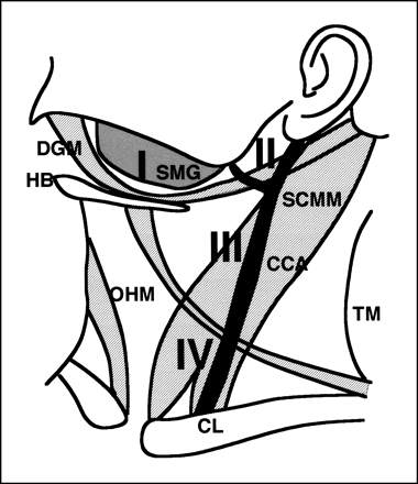 fig 1.