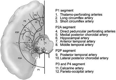 fig 1.