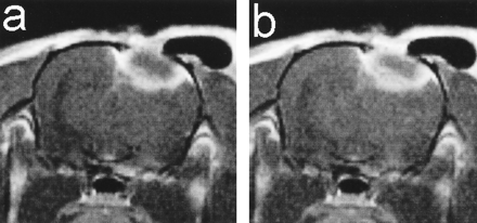 fig 1.