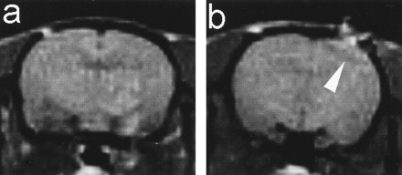 fig 2.