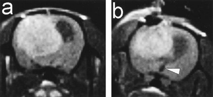 fig 3.