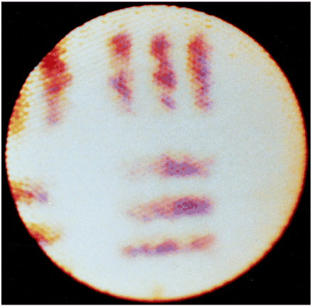 fig 2.