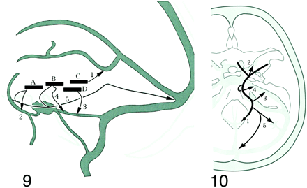 fig 9.
