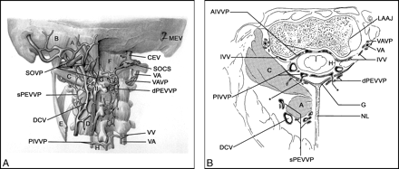 fig 4.