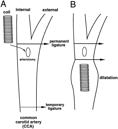 fig 1.