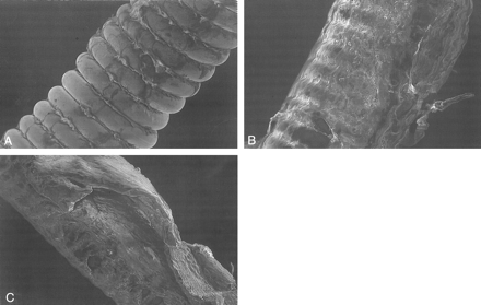 fig 5.