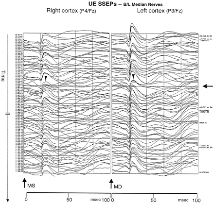 Fig 1.