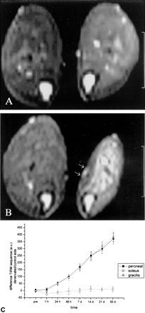 Fig 2.