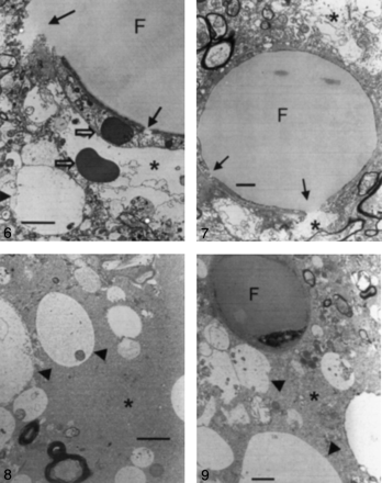 Fig 6.