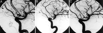 Fig 1.