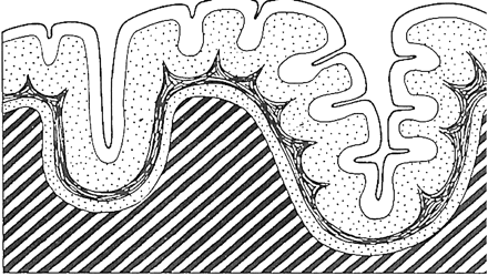 Fig 4.