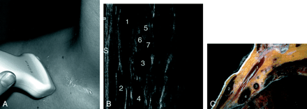 Fig 7.