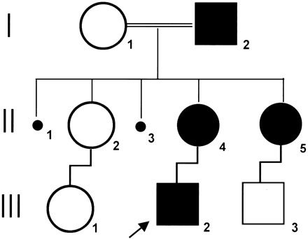 Fig 1.