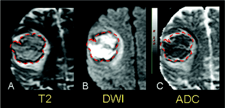 Fig 1.