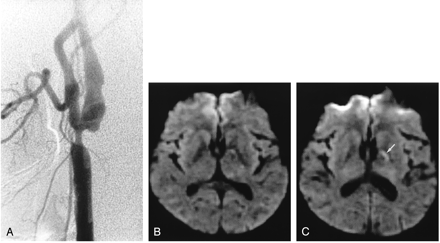 Fig 1.