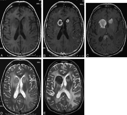 Fig 7.