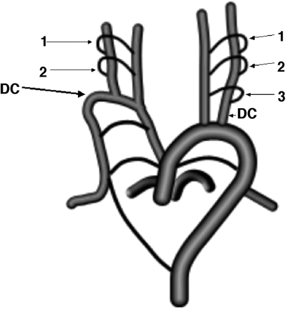 Fig 9.