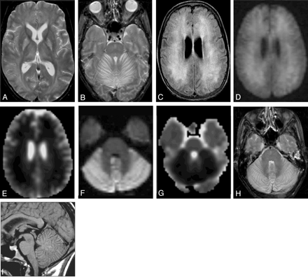   Fig 1. 