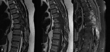 Fig 2.