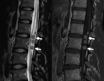 Fig 4.