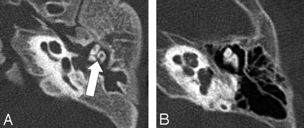 Fig 1.