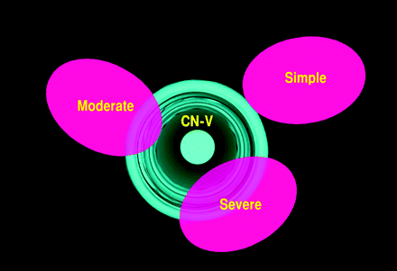 Fig 1.