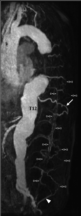   Fig 1. 