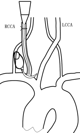 Fig 1.