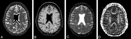 Fig 1.