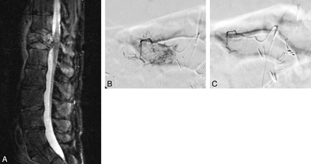 Fig 1.