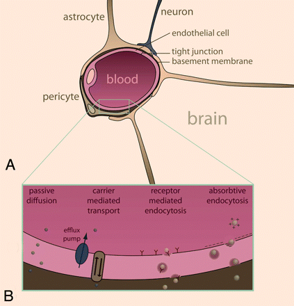 Fig 1.