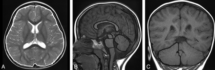 Fig 1.