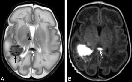 Fig 1.