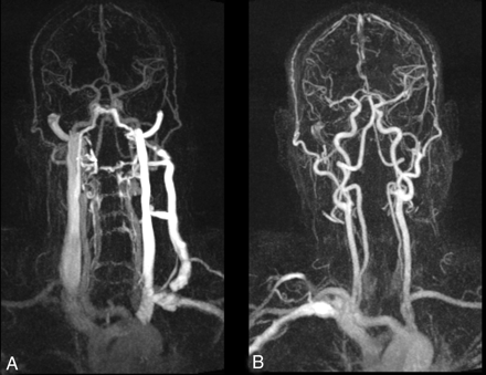 Fig 1.