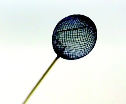 Fig 1.