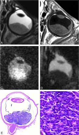 Fig 4.