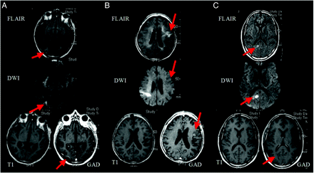Fig 1.