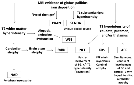 Fig 2.